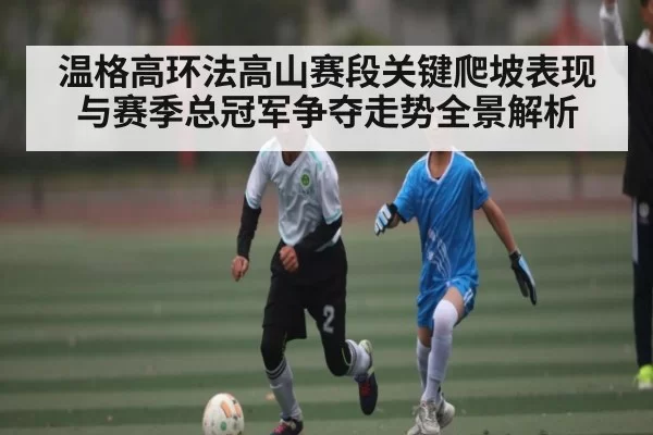 温格高环法高山赛段关键爬坡表现与赛季总冠军争夺走势全景解析